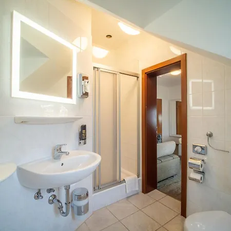 호텔 Krone 빈겐암라인