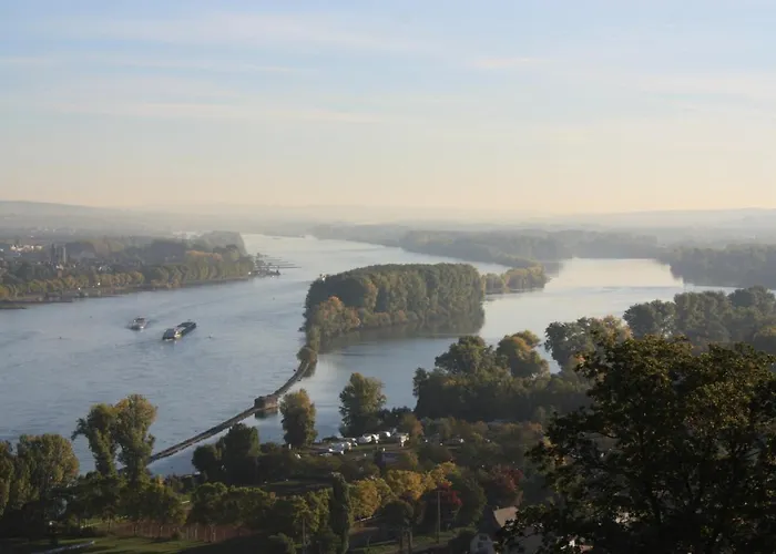 酒店 Krone 莱茵河畔的宾根