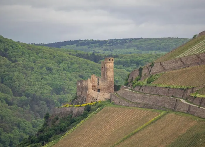 Krone Отель Бинген-на-Рейне
