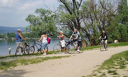 Отель Krone Бинген-на-Рейне