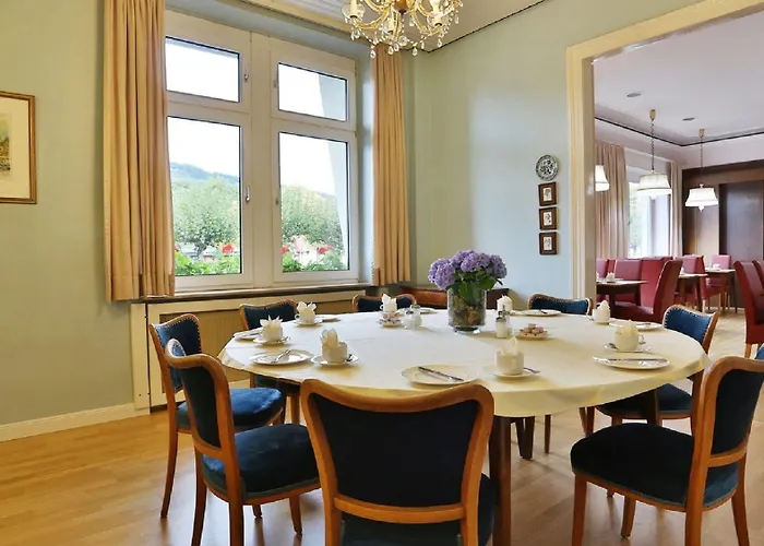 Krone 酒店 莱茵河畔的宾根